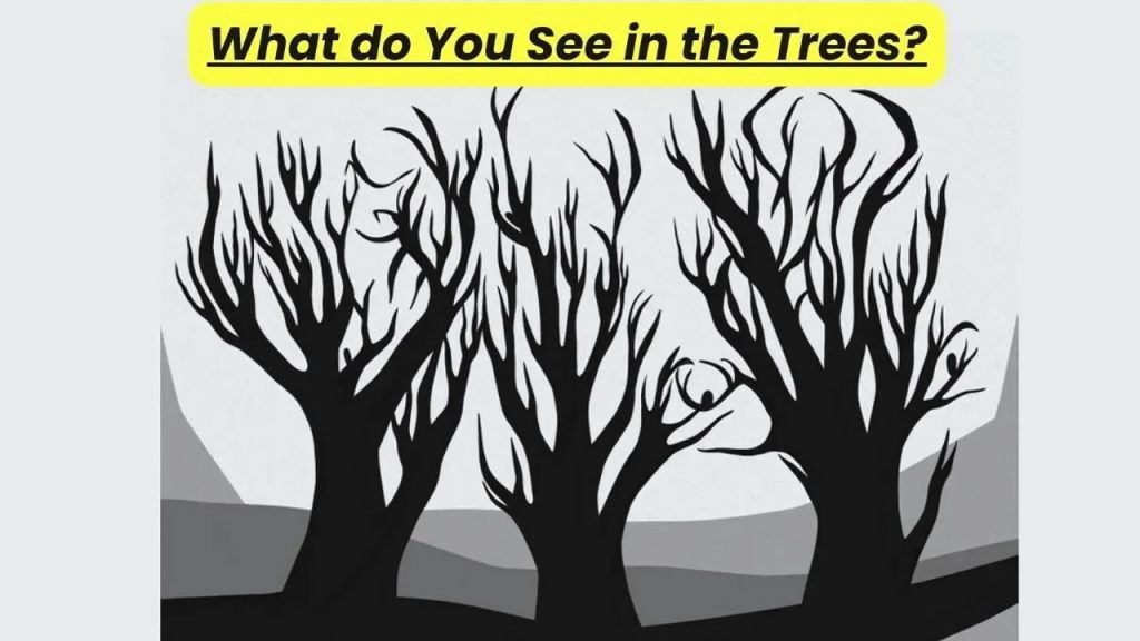 Optical Illusion test