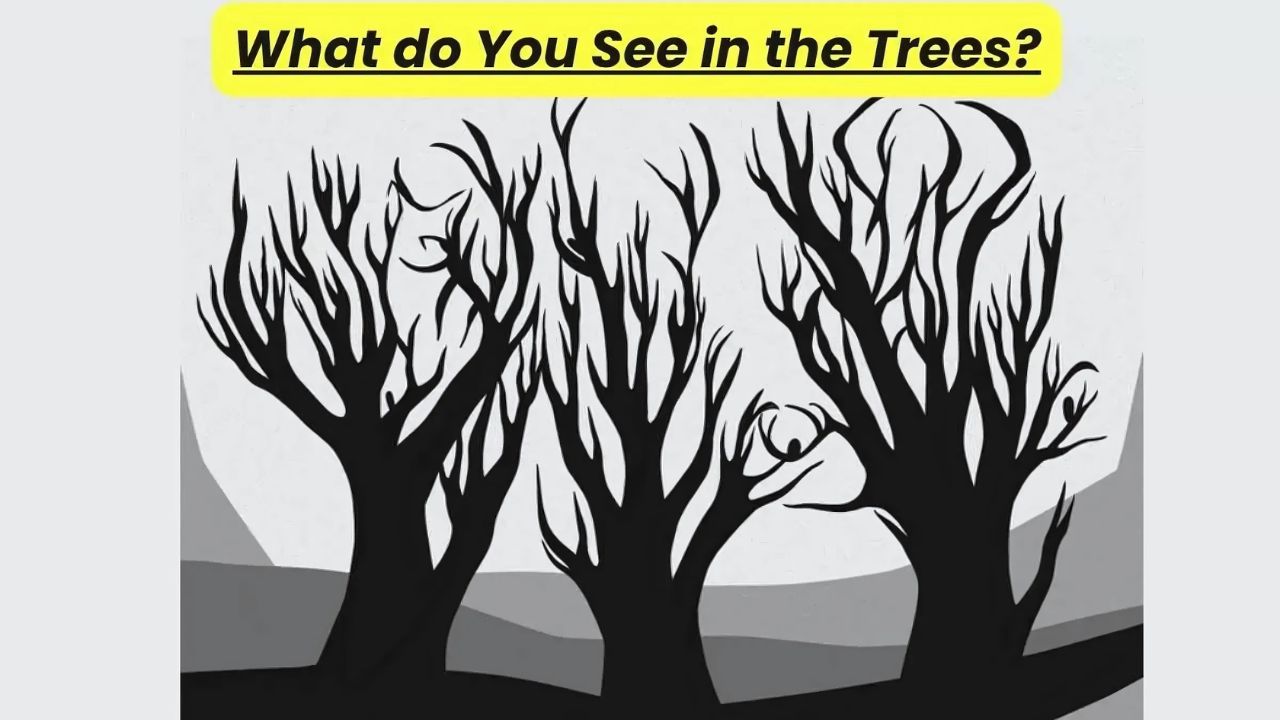 Optical Illusion test