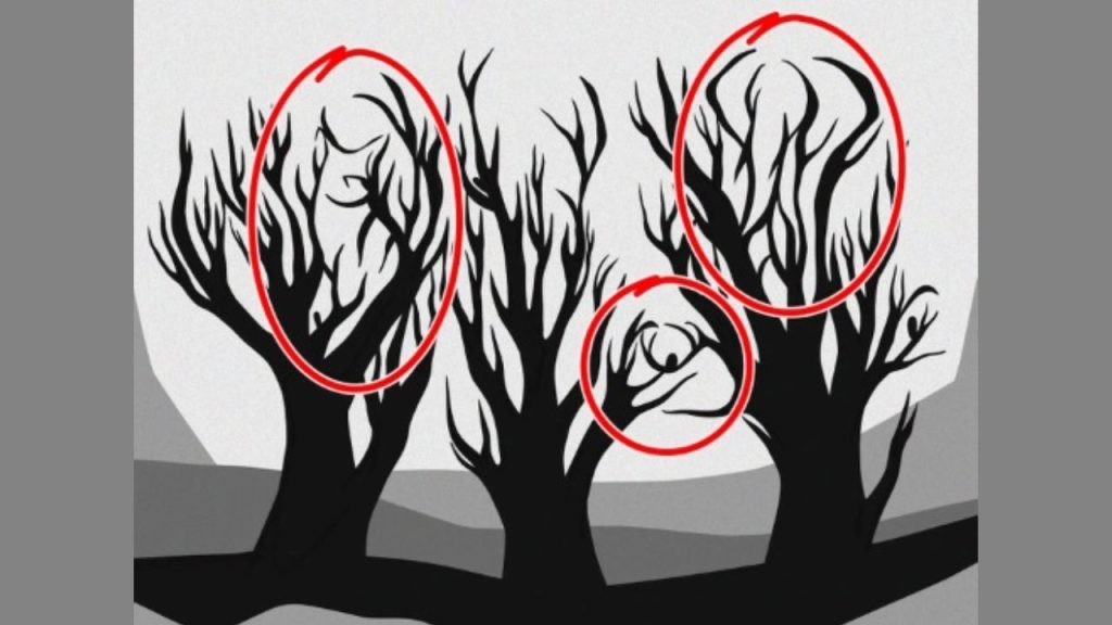 Optical Illusion Test