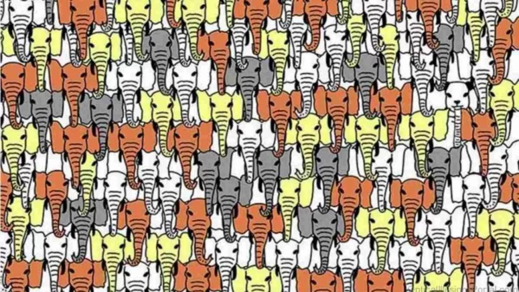 Optical Illusion