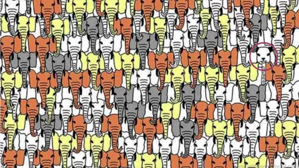 Optical Illusion