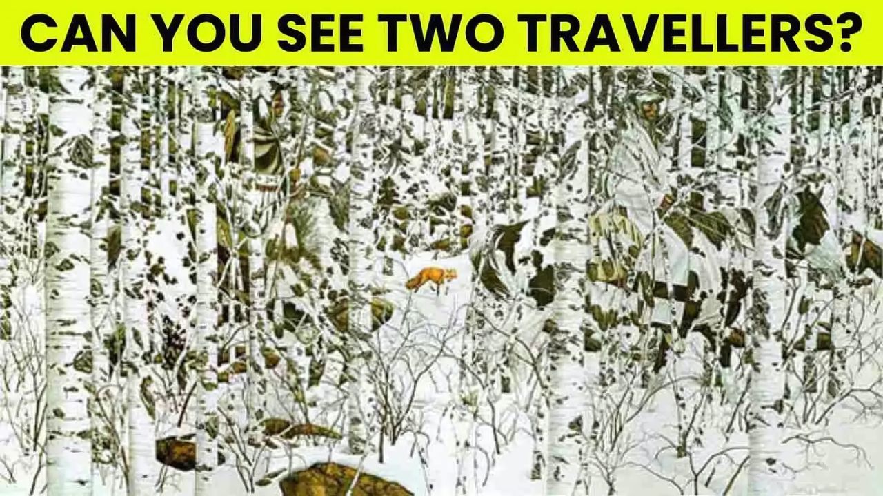 Optical Illusion